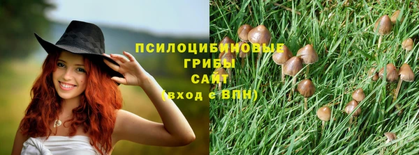 МДПВ Алексин