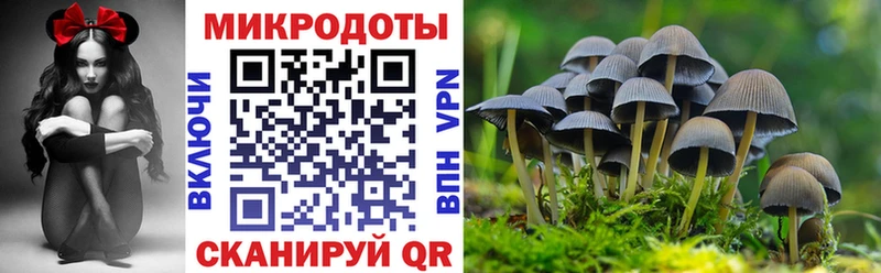 кракен ссылки  Оленегорск  Галлюциногенные грибы Psilocybine cubensis 